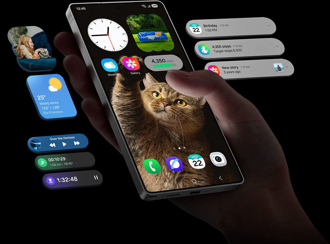 display s25 ultra