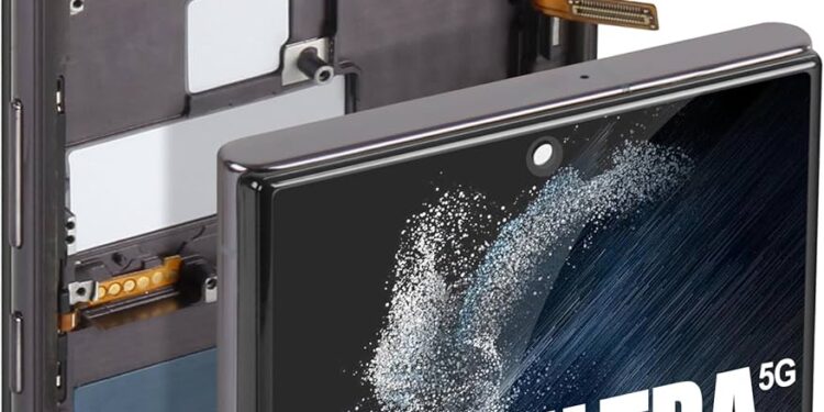 display samsung s22 ultra