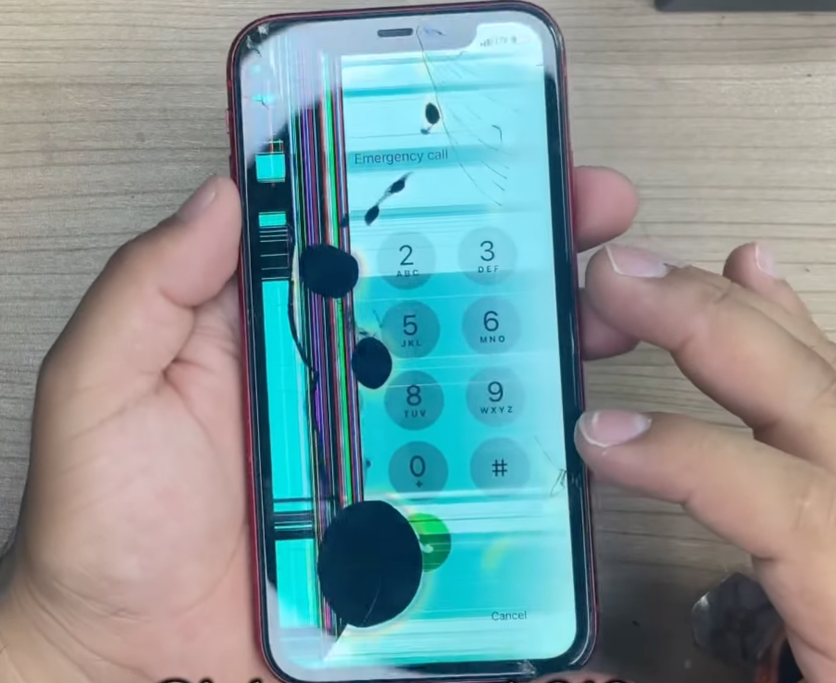display iPhone 11